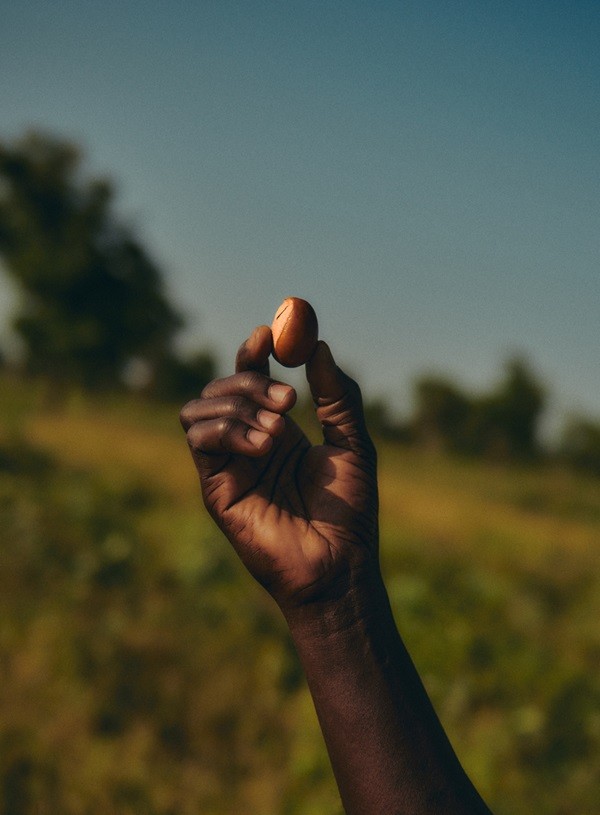 1772799012738815.jpg 微信图片_2026-03-06_200900_472.jpg