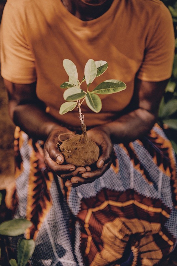 1772798998564087.jpg 微信图片_2026-03-06_200904_404.jpg